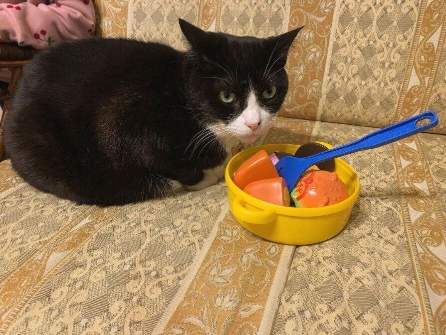 おままごとにつきあうクロニーニョ