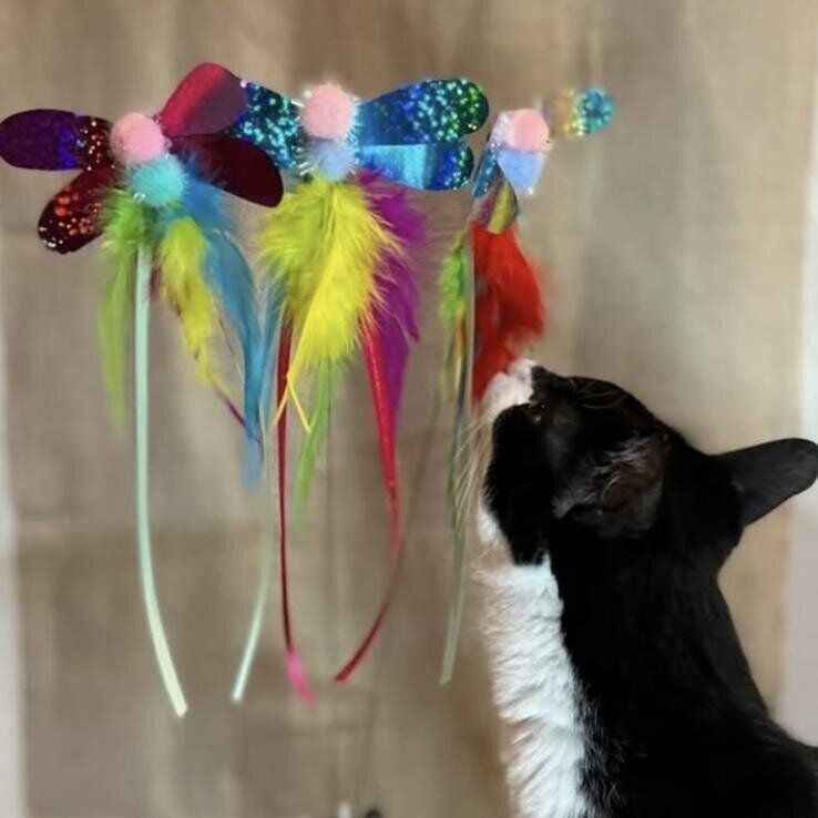 ObscureAlley（オブスキュアアレィ）作品