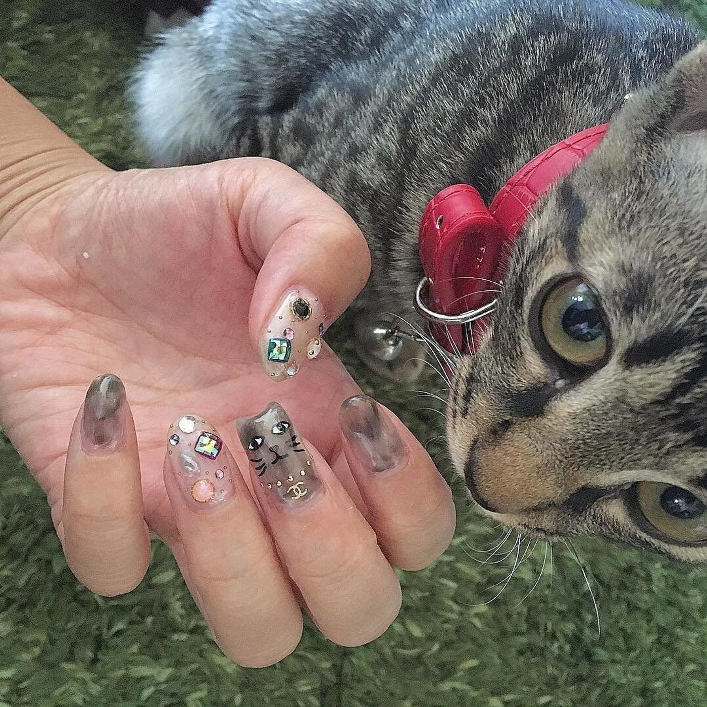 マネしたくなる 猫モチーフのネイルアート にゃんこネイル ねこのきもちweb Magazine マネしたくなる 猫モチーフのネイルアート にゃんこネイル ねこのきもちweb Magazine