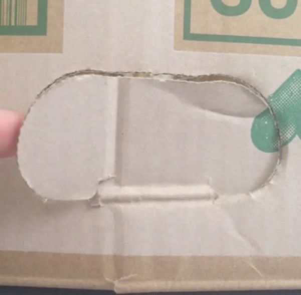 ダンボールの隙間からチラ見えする猫