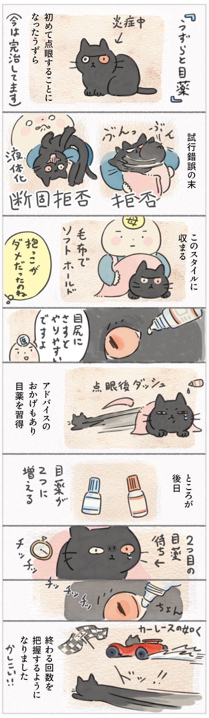 「ねこ連れ草」308話め