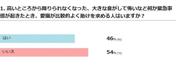 愛猫がよく助けを求める人はいる？