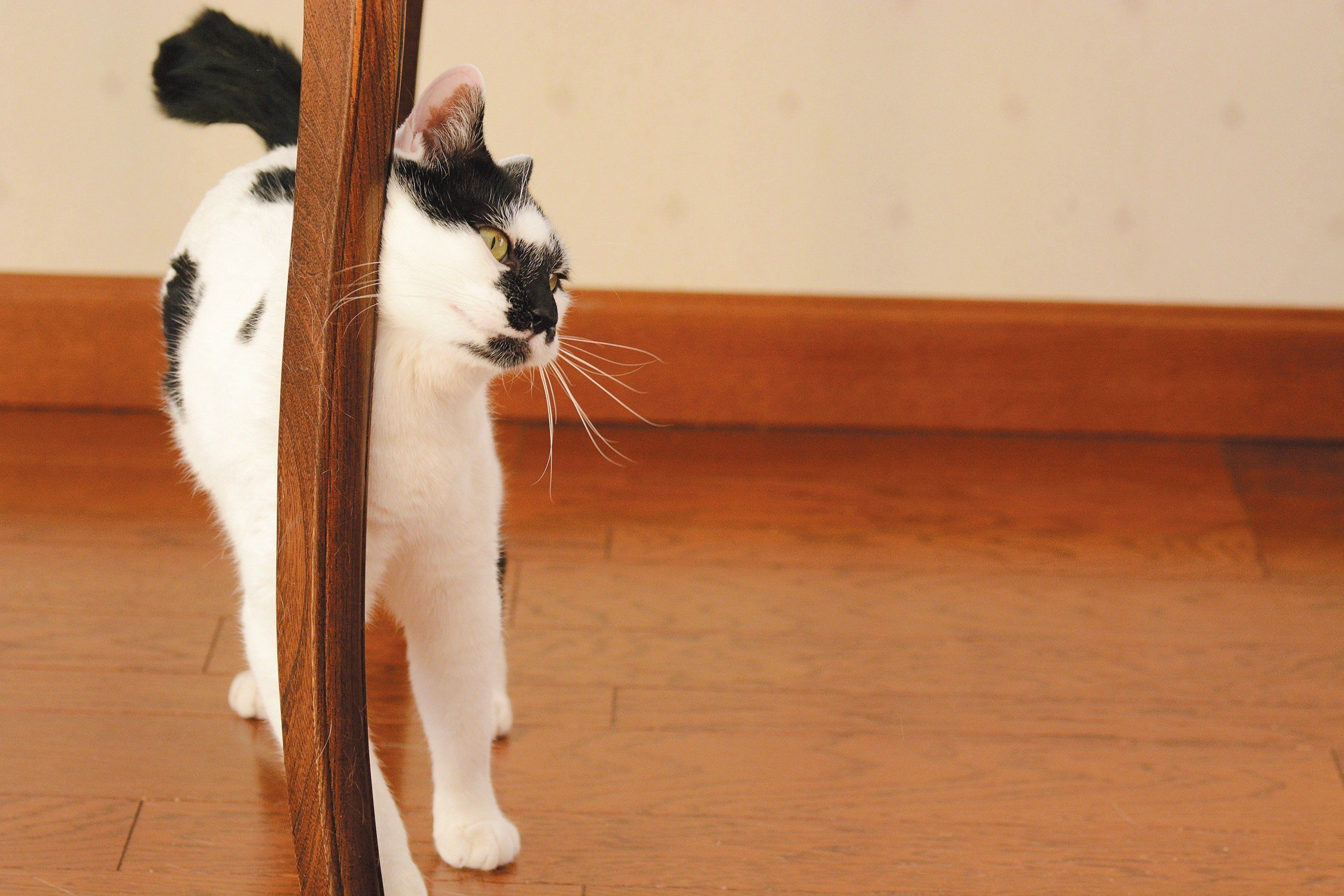 撮影／栗林　愛