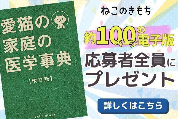 電子版プレゼント猫