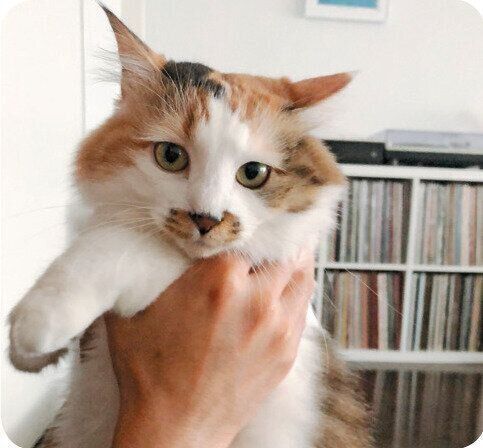 撮影／菊池亜都子先生