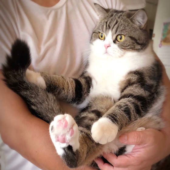 抱っこされる大福くん