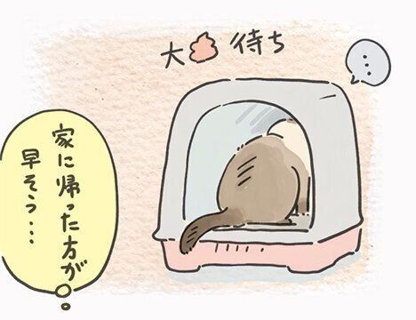 かんたろう大便待ち