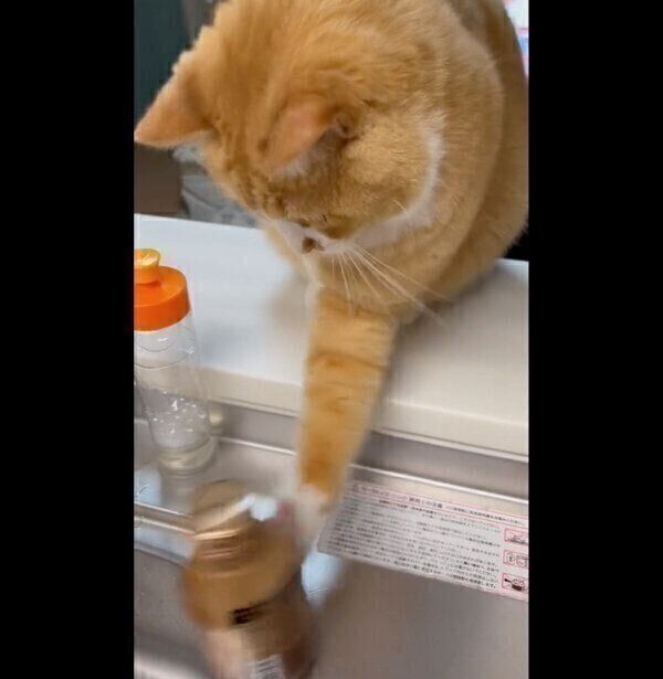 缶を落とすさんてくん