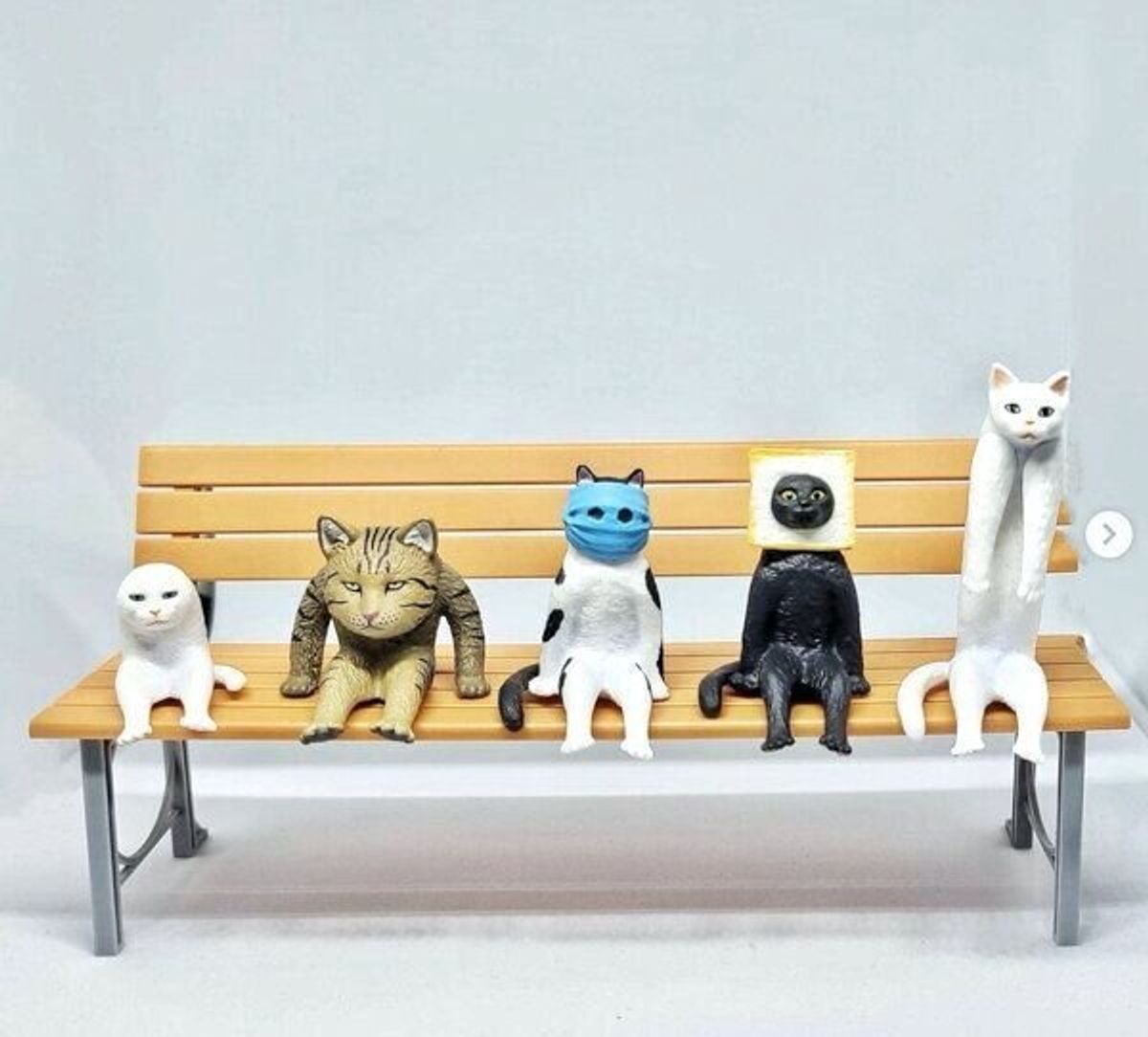 コンプリートしたくなる カプセルトイ 座る変な猫 がクセになる可愛さ ねこのきもちweb Magazine コンプリートしたくなる カプセルトイ 座る変な猫 がクセになる可愛さ ねこのきもちweb Magazine