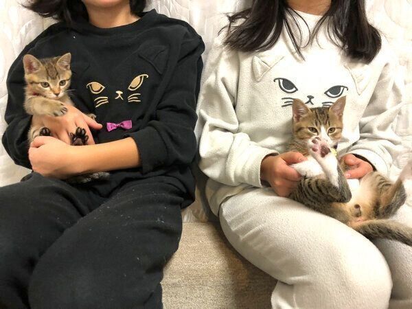 抱っこしてもらうこんぶちゃん、もずくくん