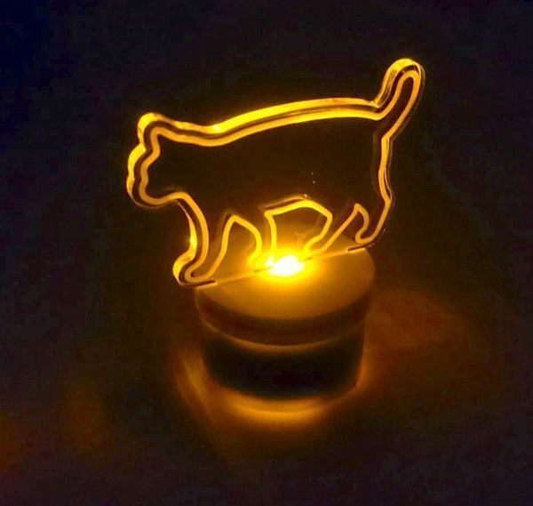 『qcqsps』の素敵な猫モチーフ作品