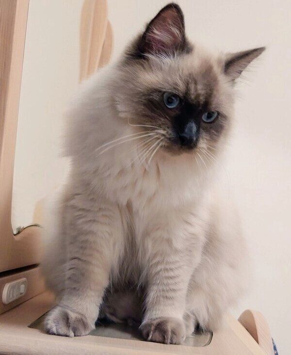 生後8カ月ごろのソラくん。