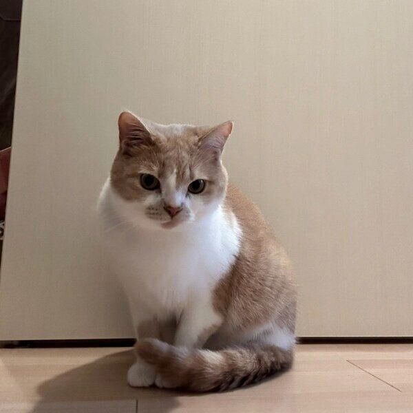 2才になってたくましくなったうるくん