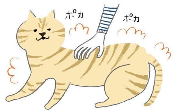 マッサージで猫と飼い主さんがお互いに癒しあえるヒミツ