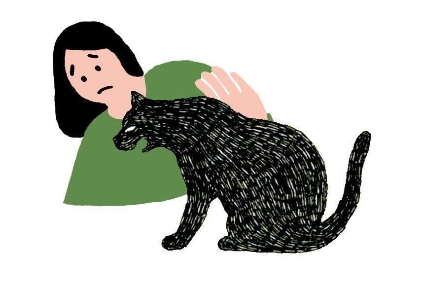 イラスト／柿崎サラ