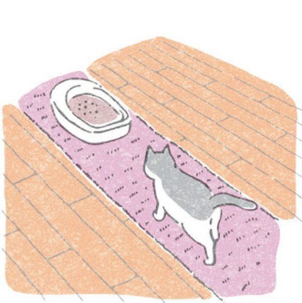 猫の健康維持に直結する寒さ対策