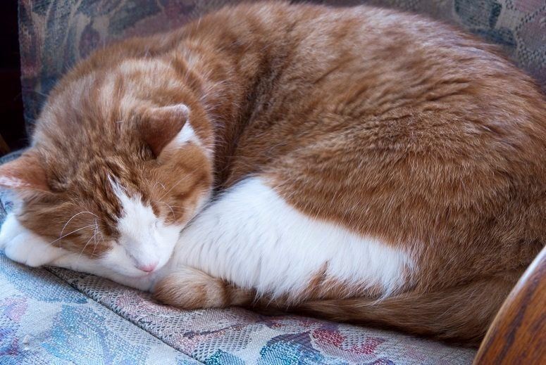 画像／iStock、Getty Images Plus、ゲッティイメージズ