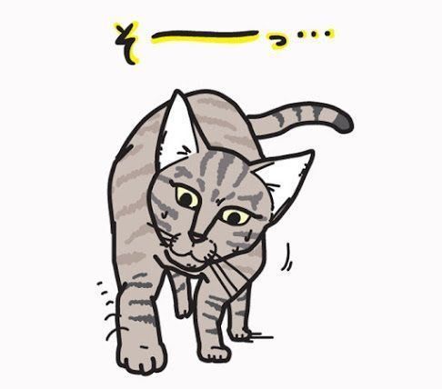 音を立てずに歩く猫