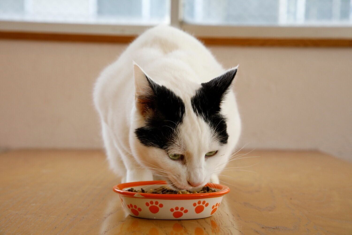 撮影／尾﨑たまき