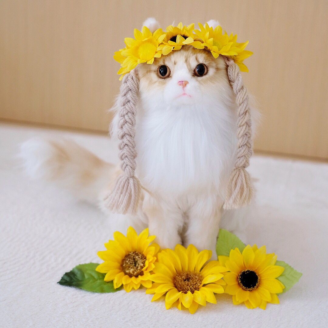 ぬいぐるみの猫のコキンちゃん