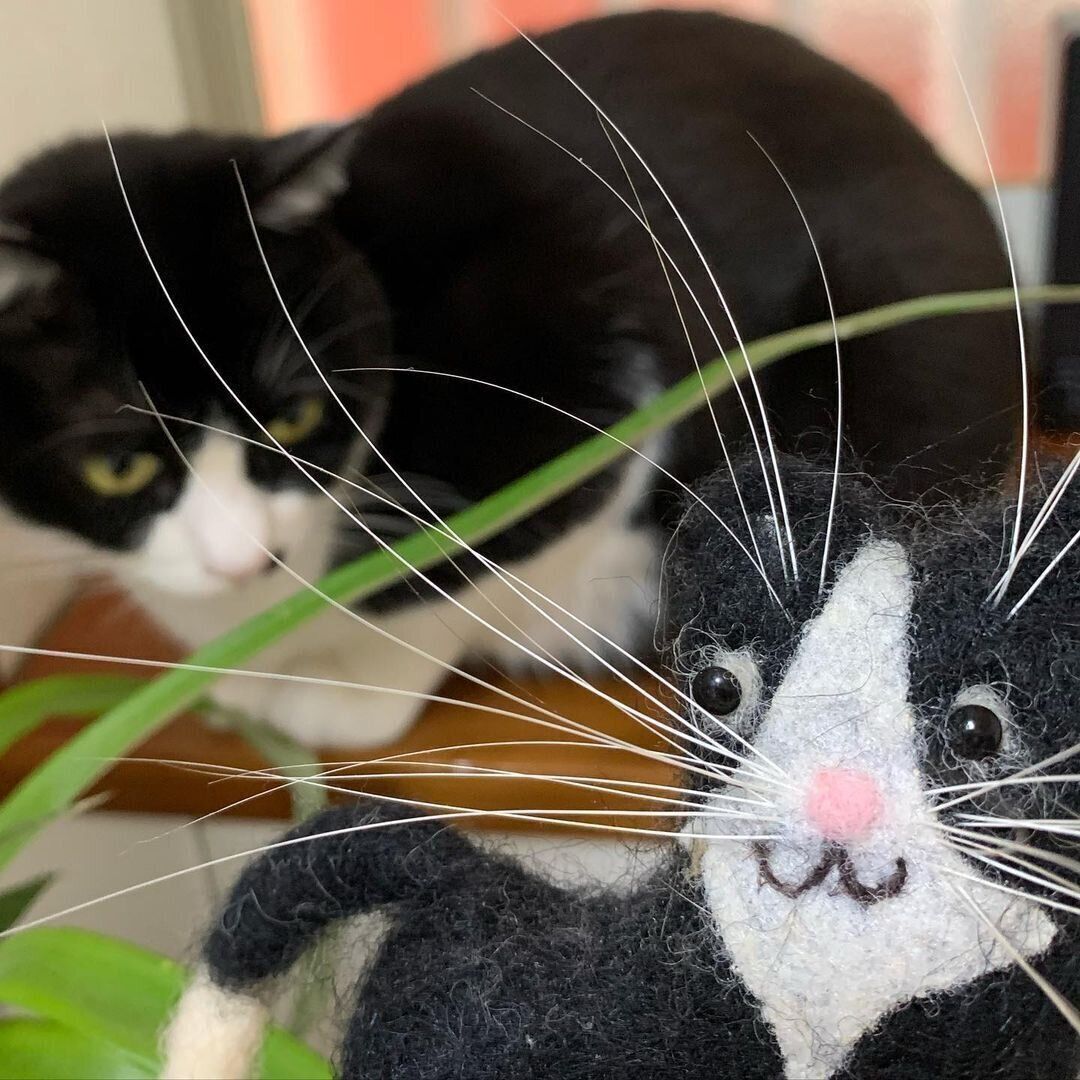 まるおちゃんとぬいぐるみ