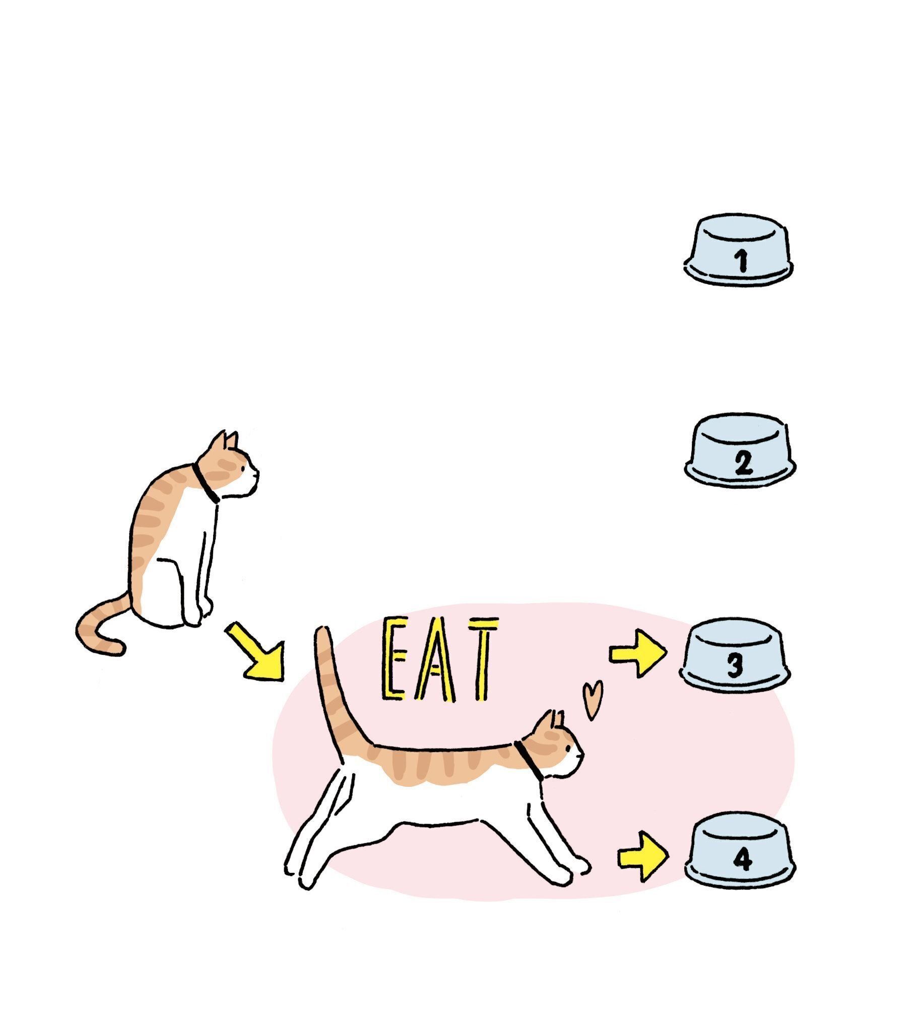 イラスト／徳丸ゆう