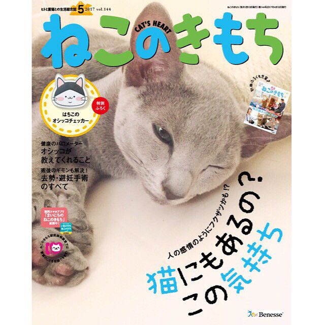 愛猫が表紙デビュー！？どれもプロ級！モデルなりきりニャンコたち｜ね