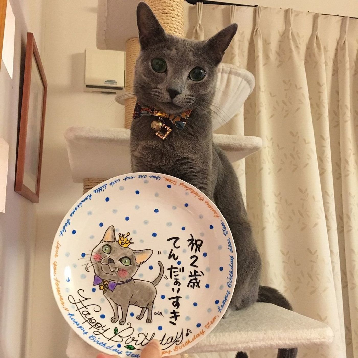 すてきなバースデープレートで愛猫の誕生日をお祝いしよう ねこのきもちweb Magazine すてきなバースデープレートで愛猫の誕生日をお祝いしよう ねこのきもちweb Magazine