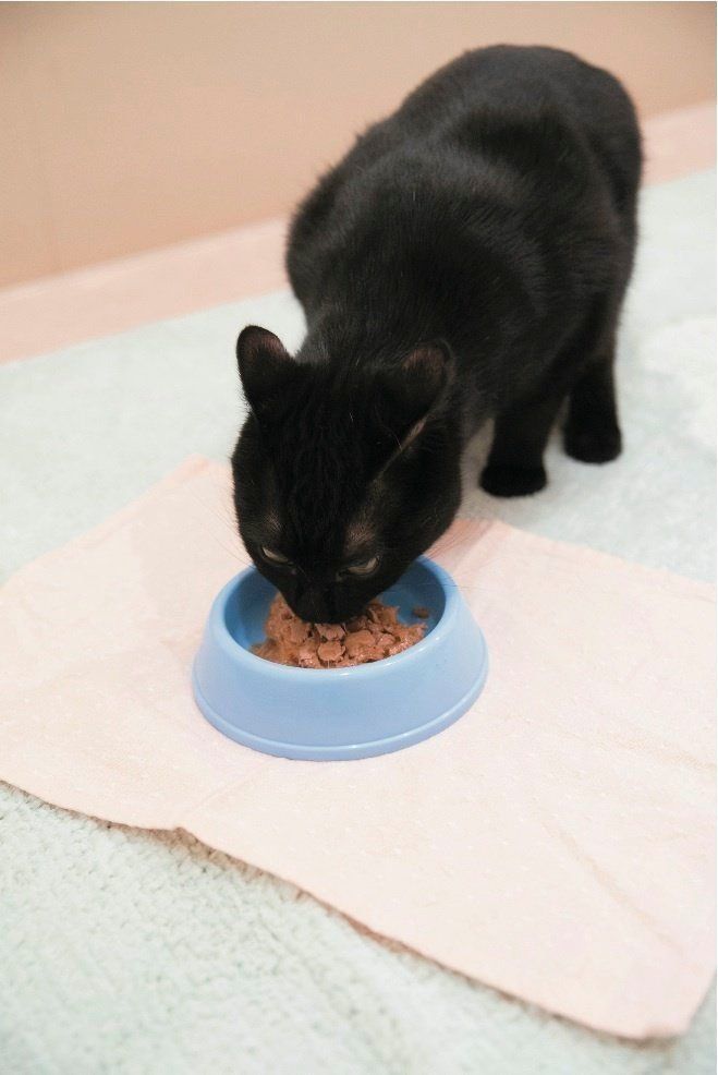 撮影／中川文作