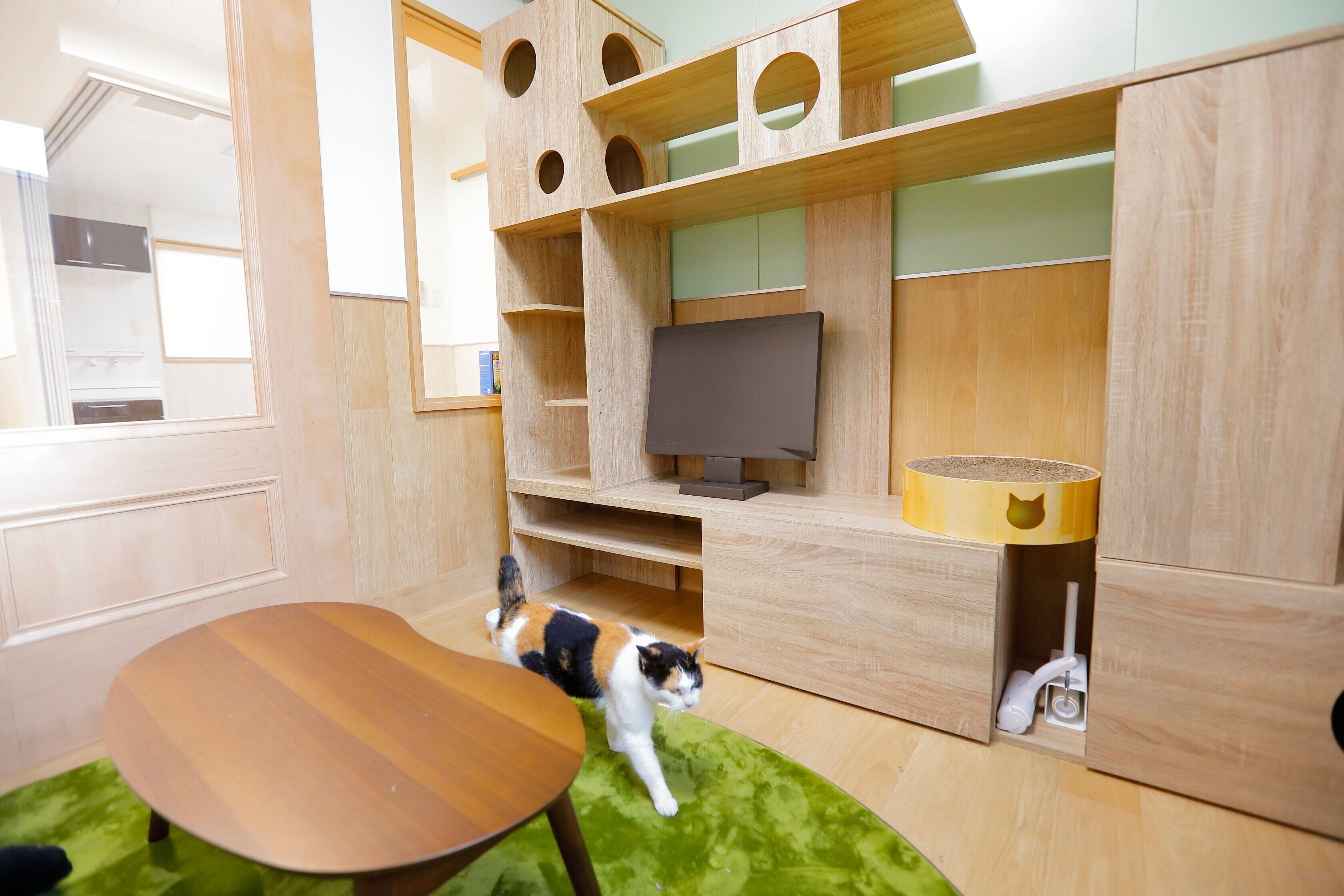 撮影／後藤さくら