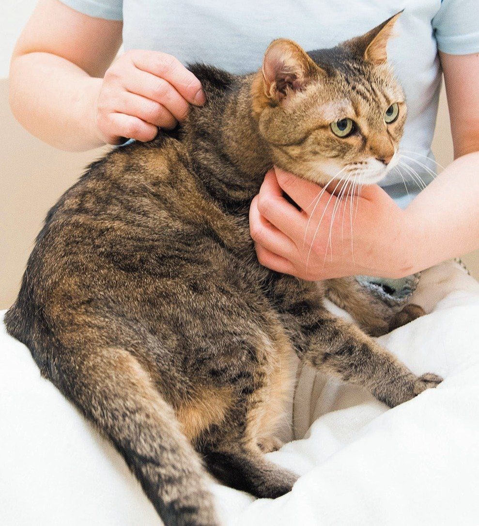 撮影／中川文作