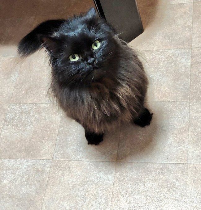 2才当時の、ベッドの上に飛び乗ろうとしているみかげくん