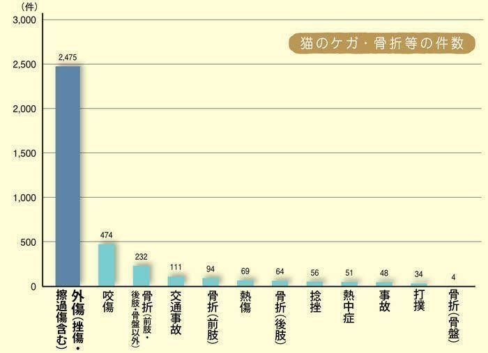 ケガ・骨折データ