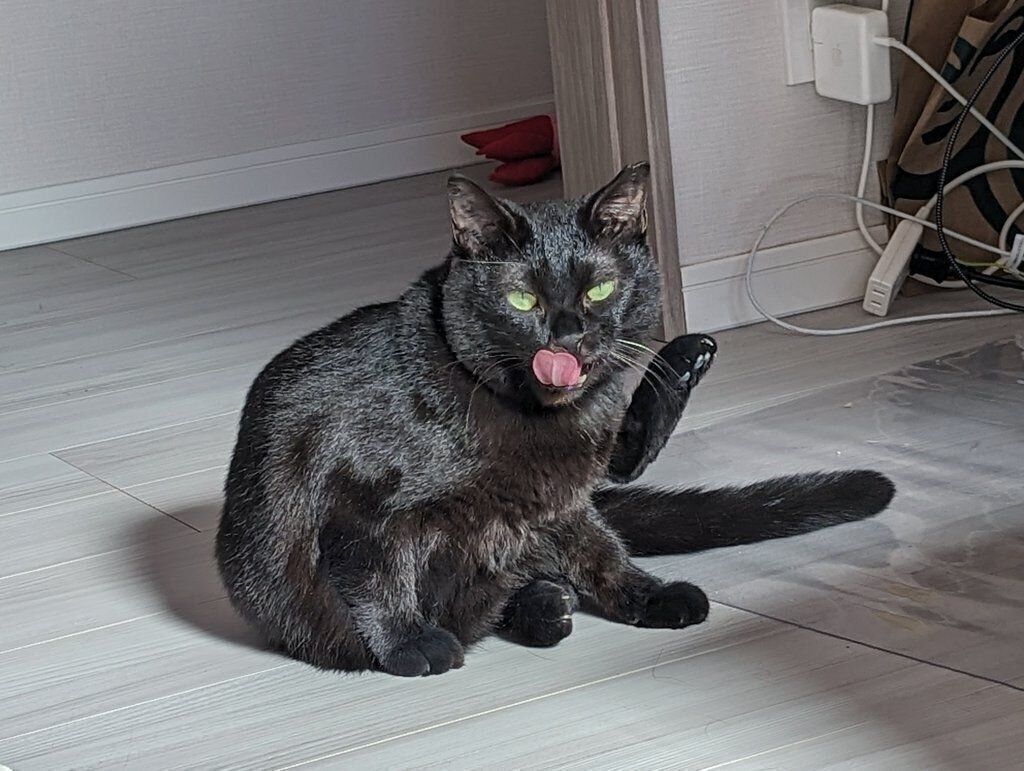 くつろぐリリちゃん