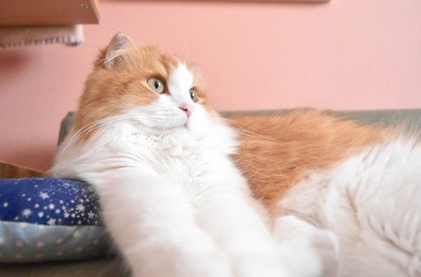 くつろぐちのさん