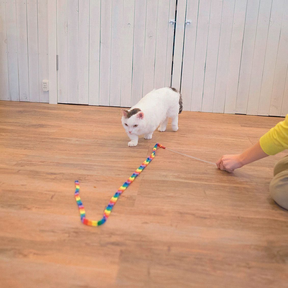 撮影／石原さくら