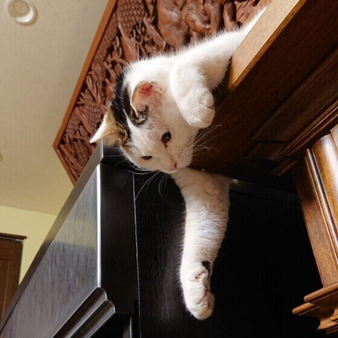 Zyuphm0mwf Wxm Zyuphm0mwf Wxm