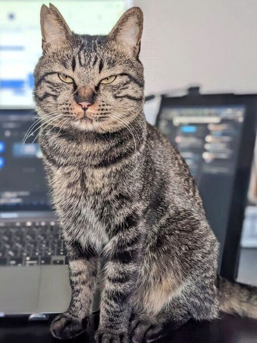 おやつが少なくて不満の表情?