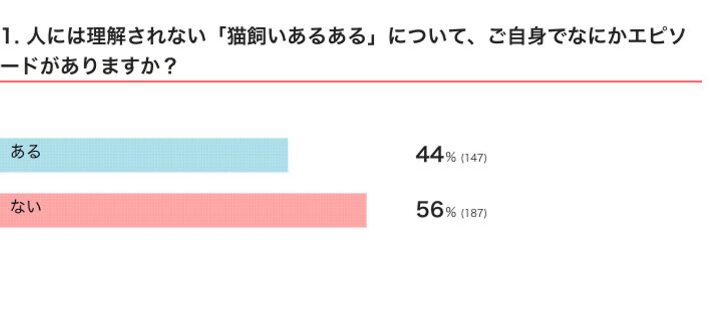 外猫と会話 愛猫からの引っ掻き傷は勲章 人には理解されない 猫飼いあるある ねこのきもちweb Magazine 外猫と会話 愛猫からの引っ掻き傷は勲章 人には理解されない 猫飼いあるある ねこのきもちweb Magazine
