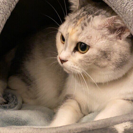 むぎちゃんの冬支度