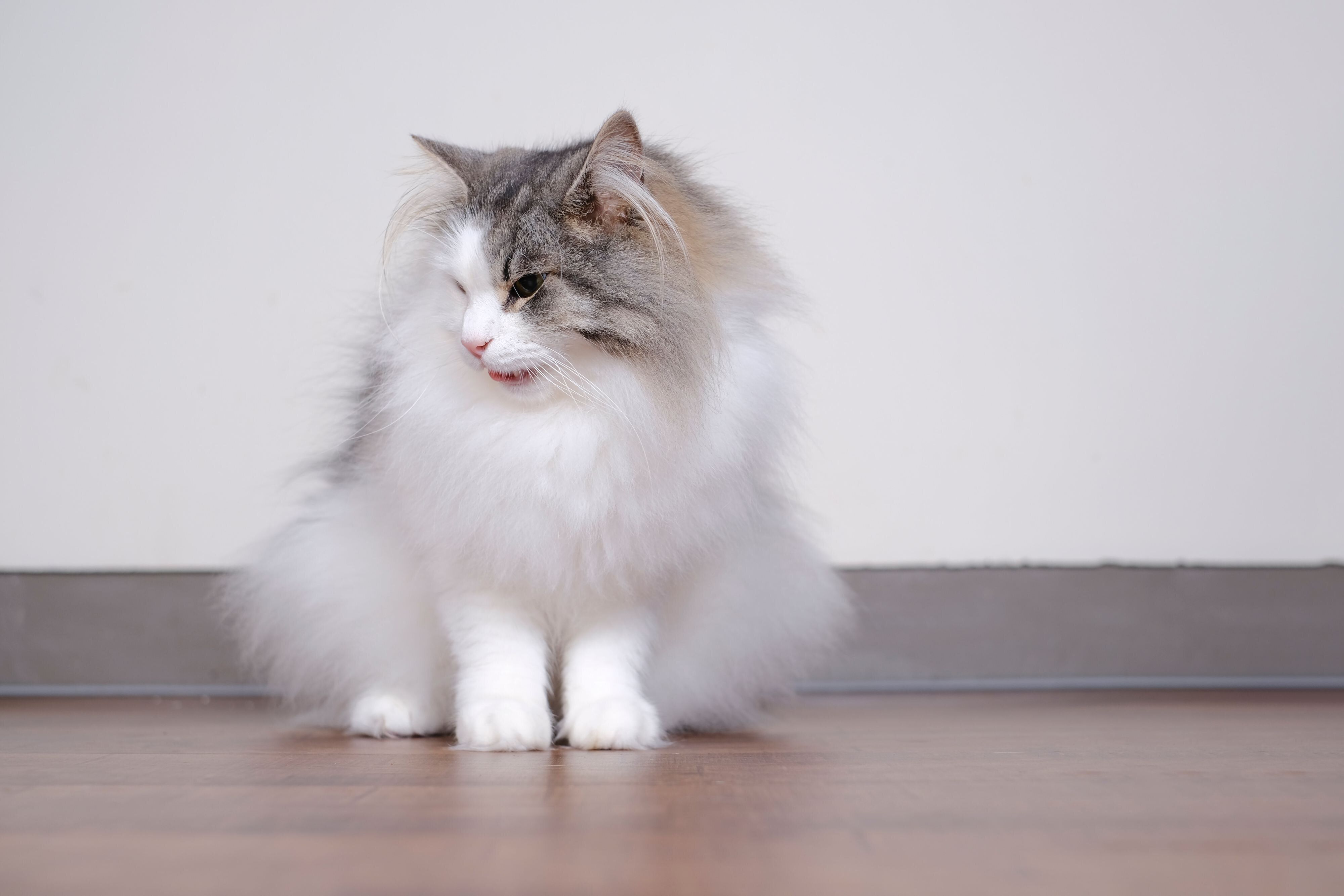 撮影／Akimasa Harada