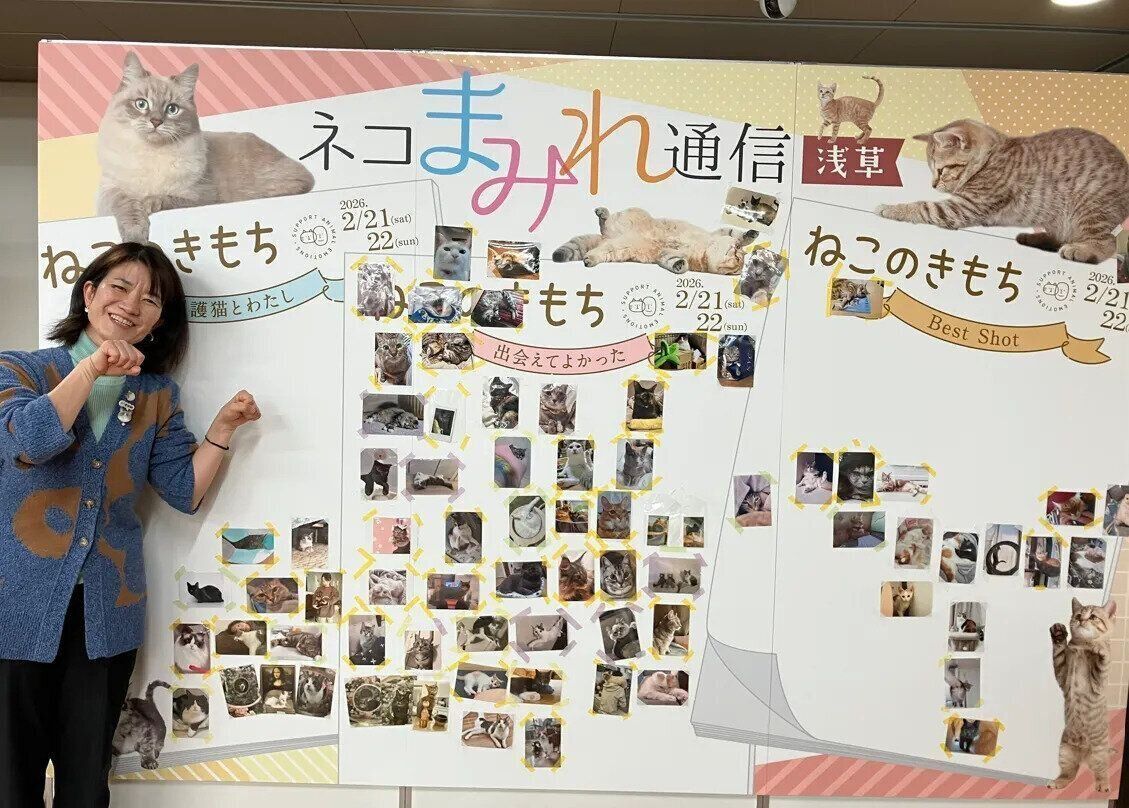 ネコまみれ通信