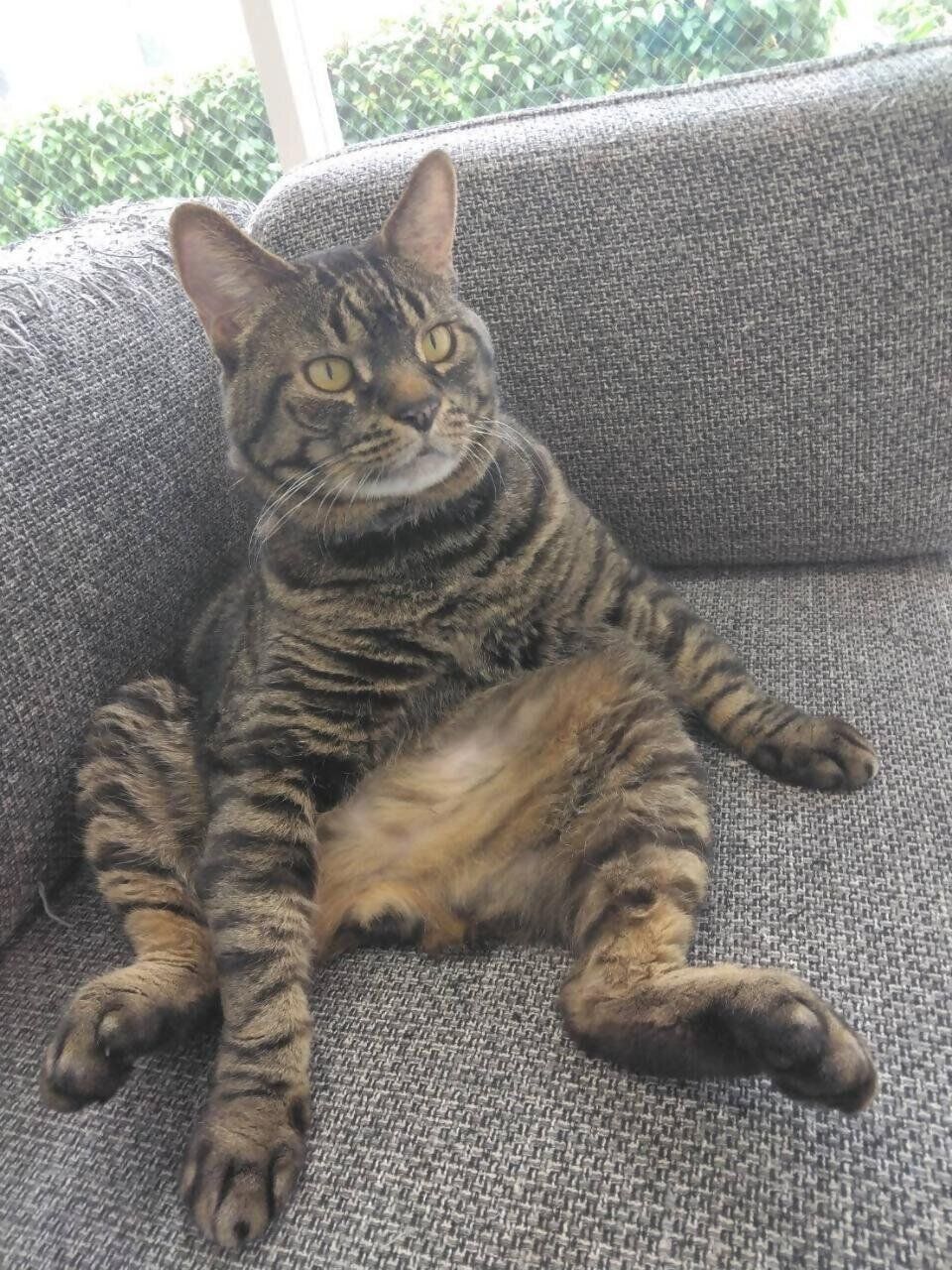 写真提供／神戸市環境衛生課