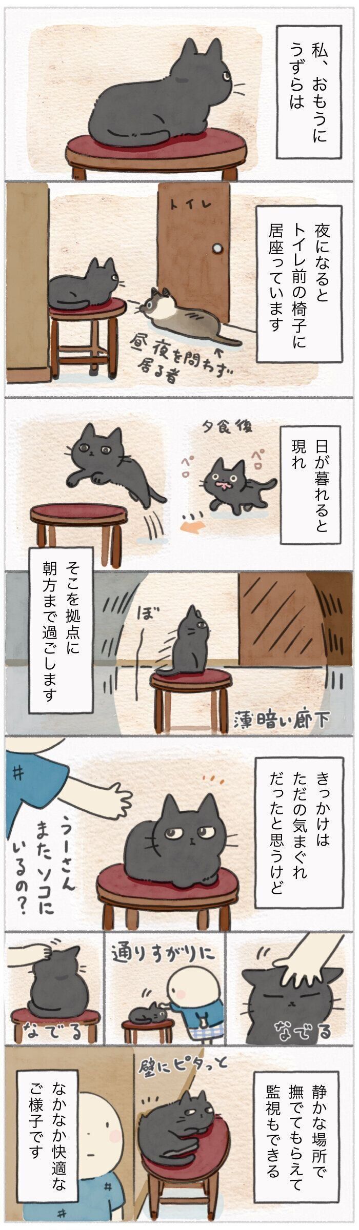 「ねこ連れ草」290話め