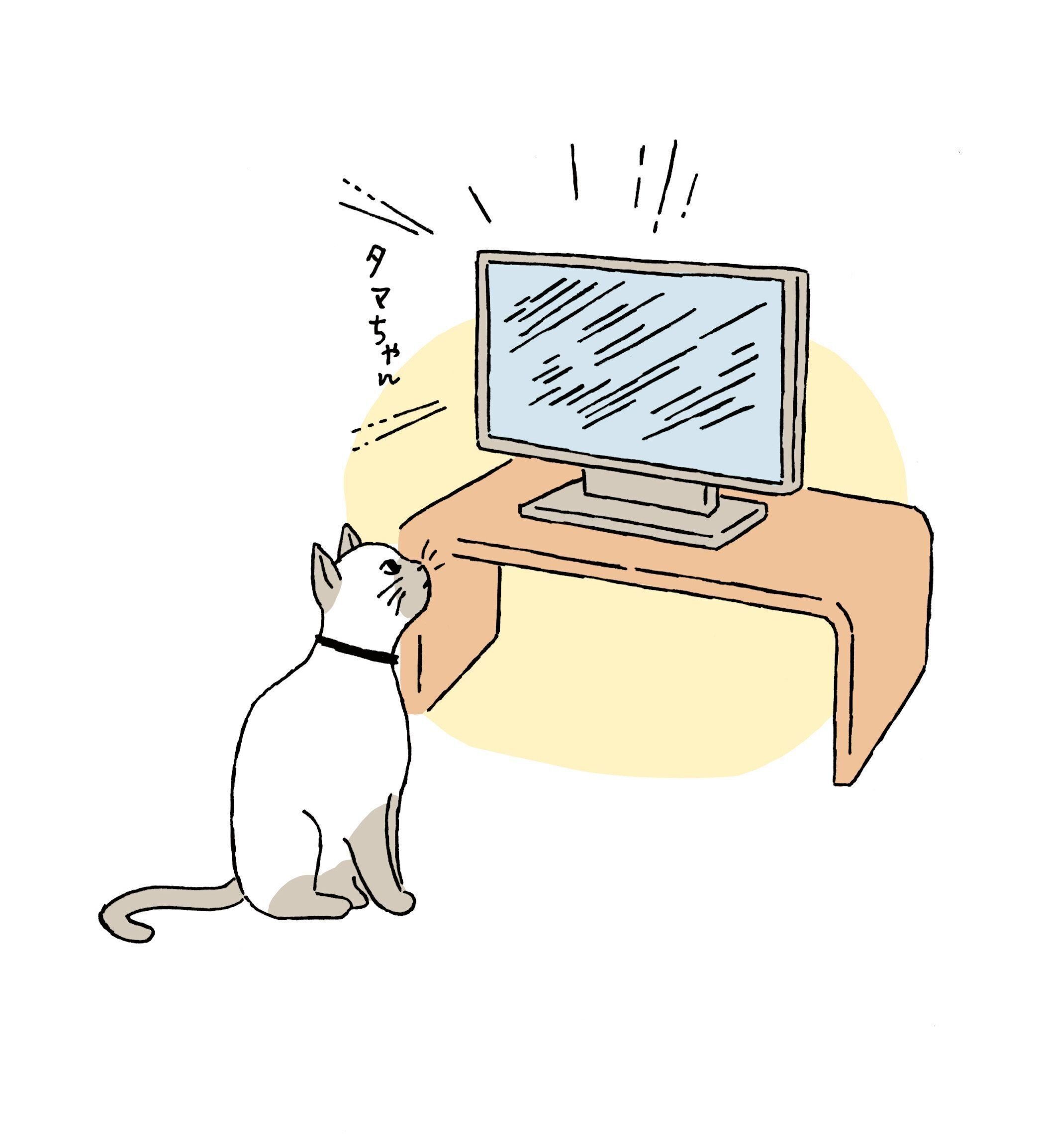 イラスト／徳丸ゆう