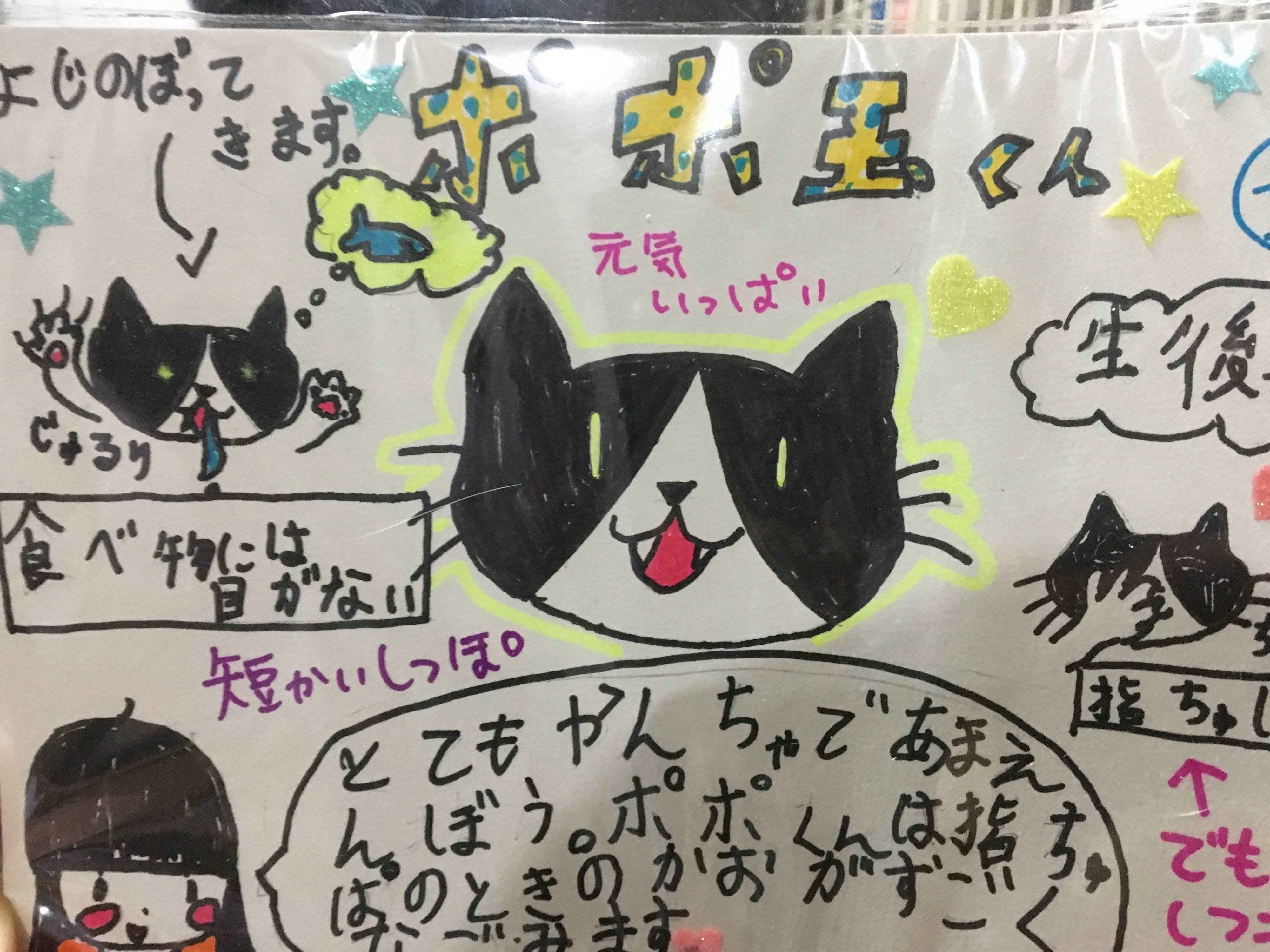 写真提供／中山渚美ちゃん