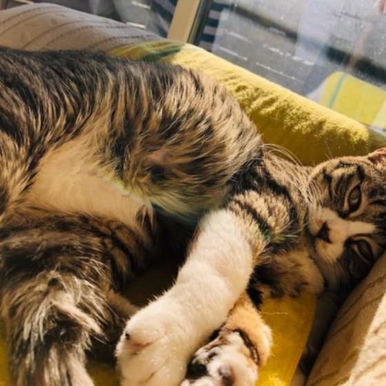 MIX つくしちゃん