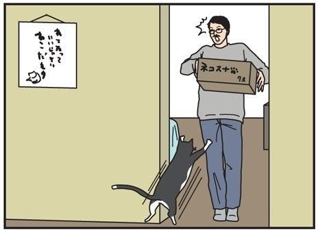 男の猫道 タイトル