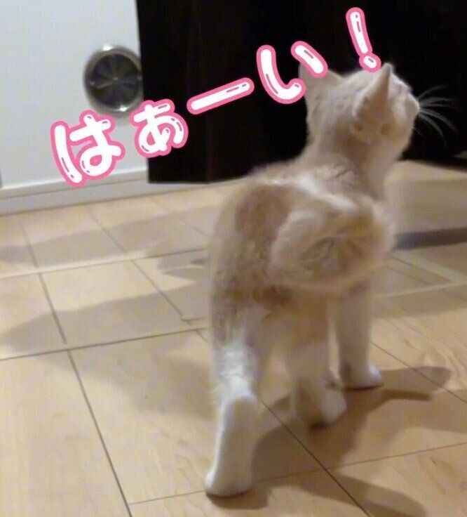 お腹が減って鳴くなるとくん