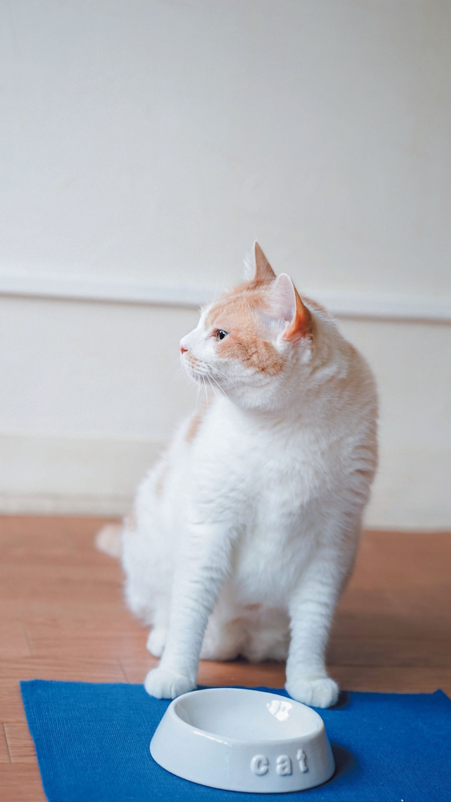 撮影／石原さくら